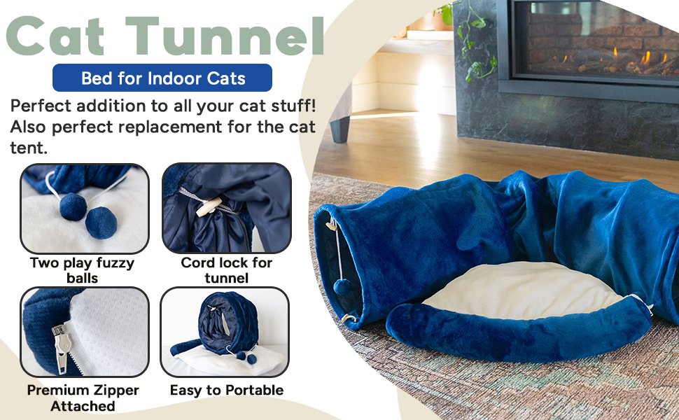 Cat Tunnel 5