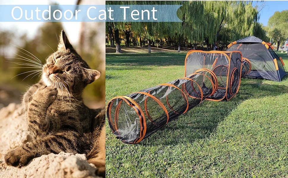 cat tent