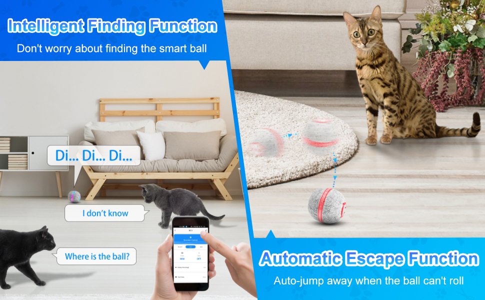 automatic rolling ball for cat