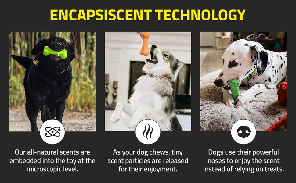 Soft Extreme Bark Treats Collar Crate Accessories Bowls Beds Car Leashes Dogfood Crates Pens Fur