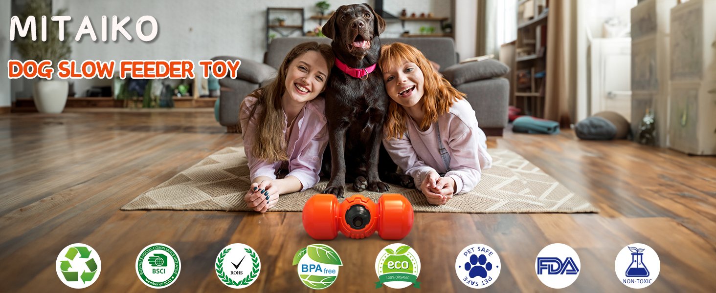 dog slow feeder