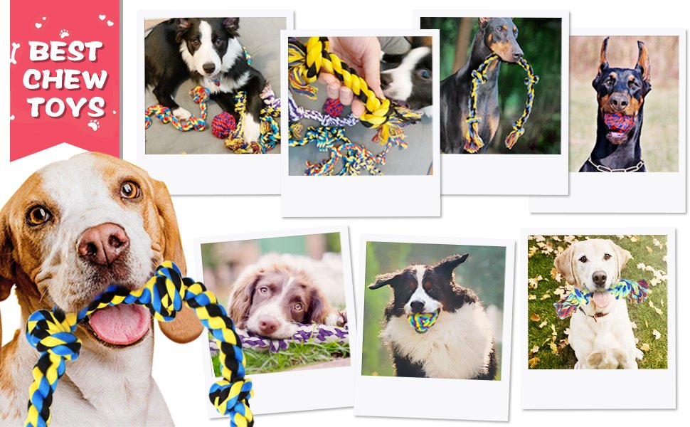 DOG CHEW TOYS
