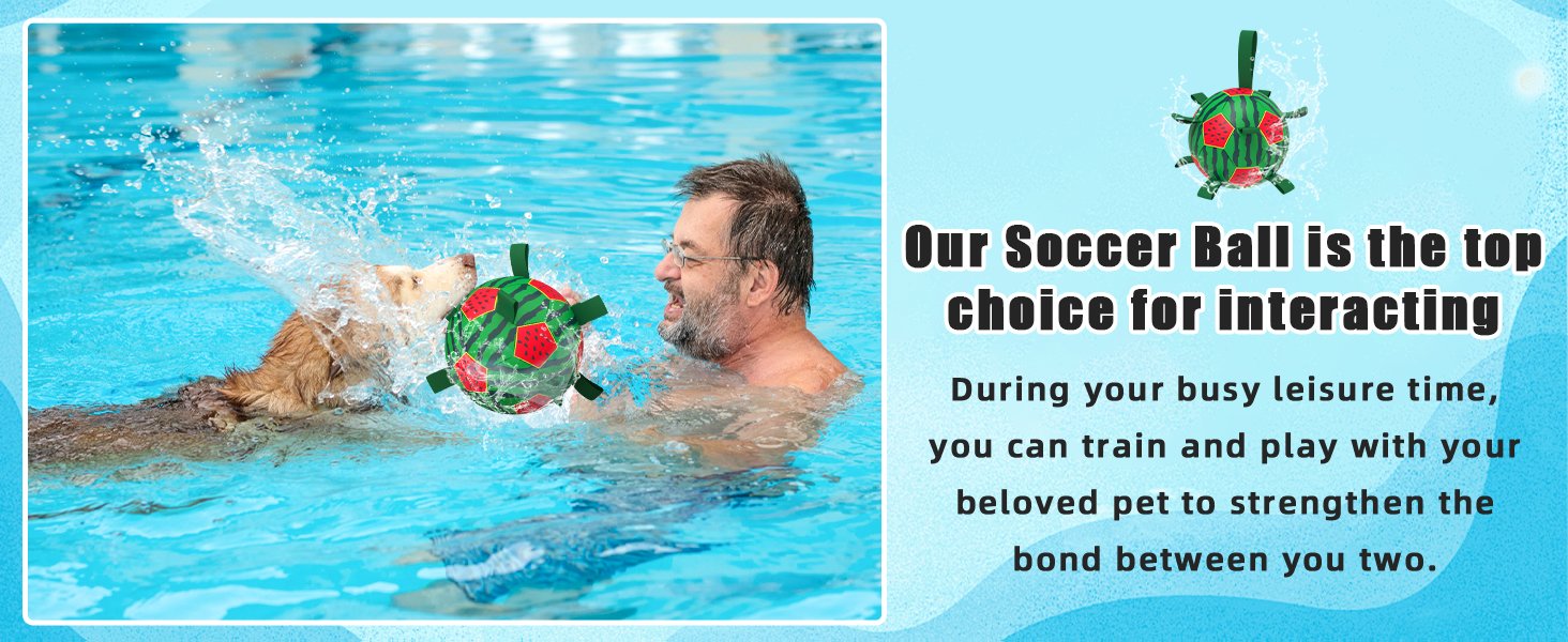 dog water soccer ball