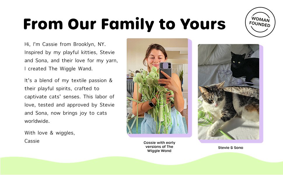 Narrative image showcasing The Wiggle Wand as a family-made product