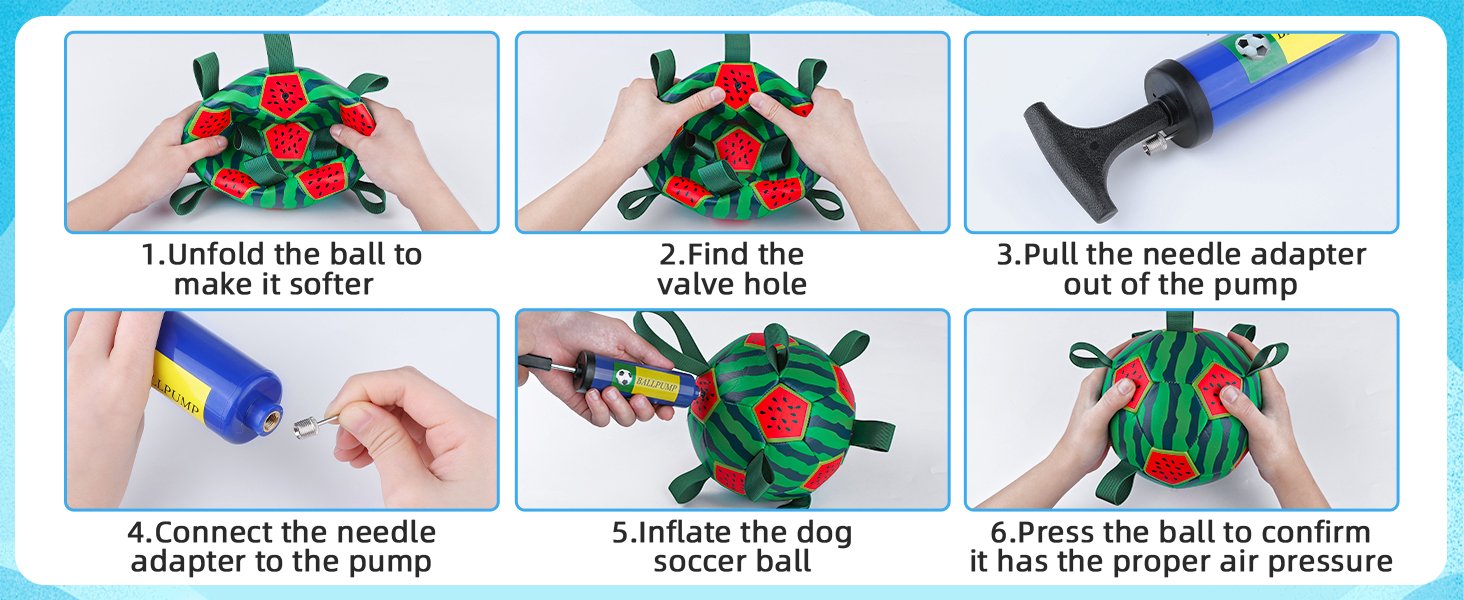 dog water soccer ball