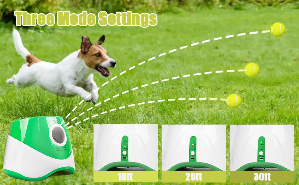 automatic dog ball launcher