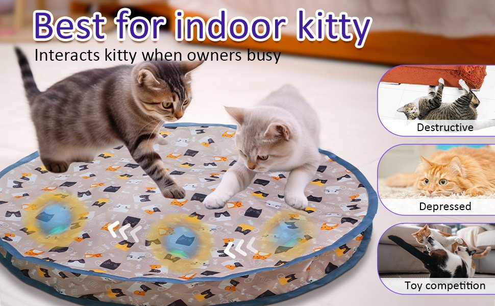 indoor cat toys