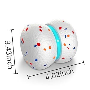 bouncing ball for dogs