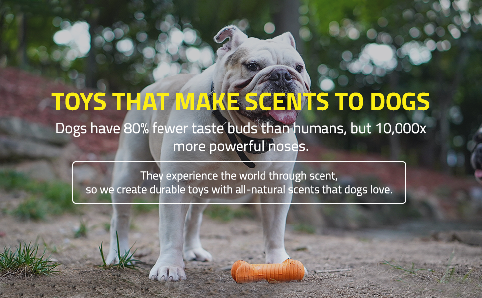 Teething Bacon BBQ Plush Cat Rabbit Perro Food Lamb Steak Pig Rubber Plastic Kitten Giant Super 