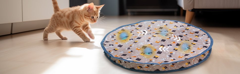 interactive cat toys