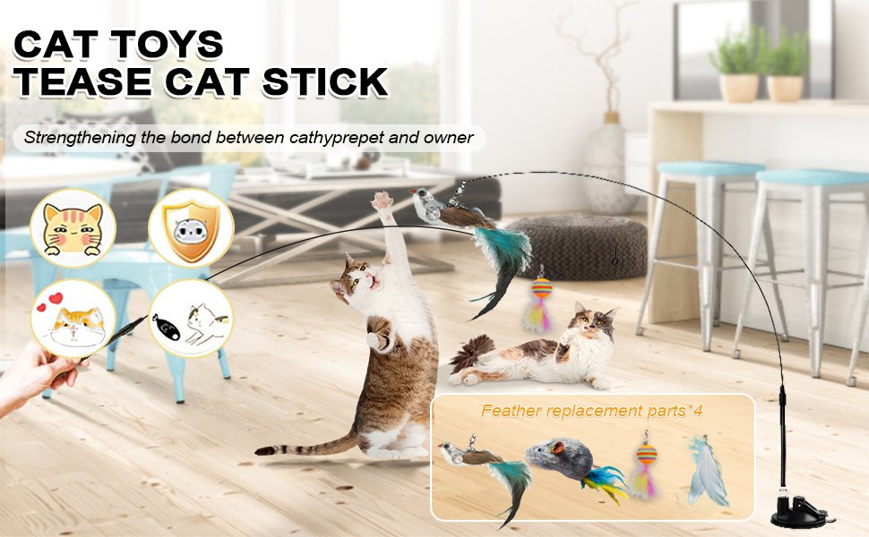 Cat toy