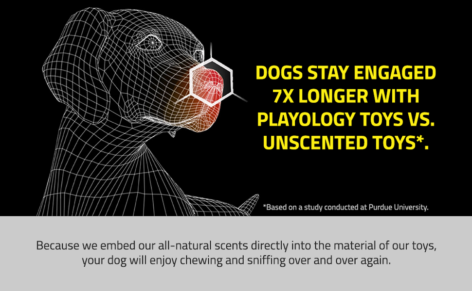 Teething Bacon BBQ Plush Cat Rabbit Perro Food Lamb Steak Pig Rubber Plastic Kitten Giant Super 