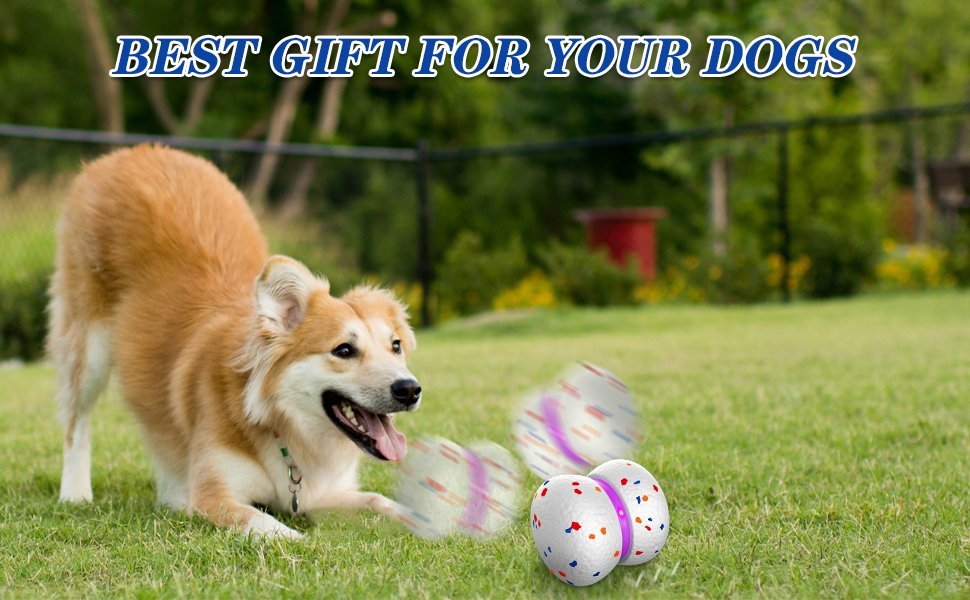 active rolling ball for dogs