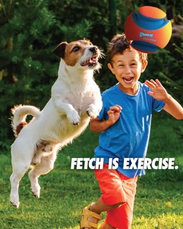 National Fetch Day - Fetch is Exercise!