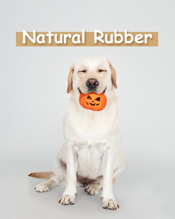 Dog Chew Toys for Aggressive Chewers