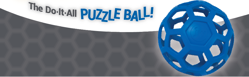 Hol-ee Roller Puzzle Ball