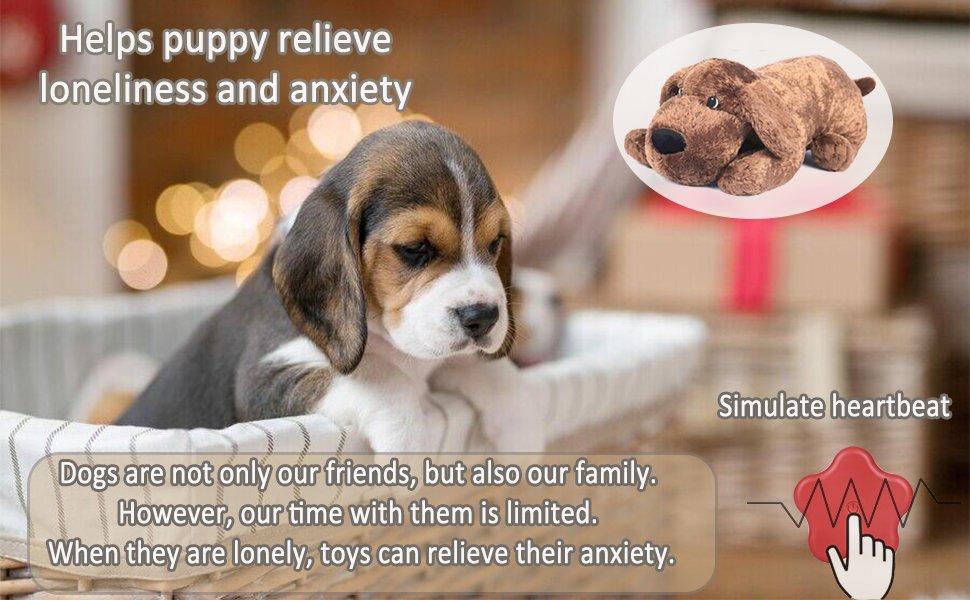 Help puppy relieve loneliness and anxiety