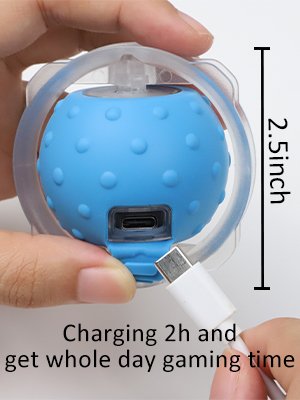 rechargeable cat toy