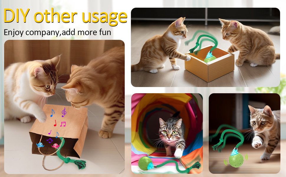 interactive cat toy