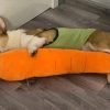Carrot Style Squeaky Large Plush Dog Toys - Small Breed Puppy Chew Toys - Chewing Toys for Dogs - Large&Small Dog Plush Toys