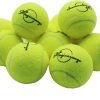 Tennis Balls, 12 Pack Advanced Training Tennis Balls Practice Balls, Come with Mesh Bag for Easy Transport, Good for Beginner Training Ball