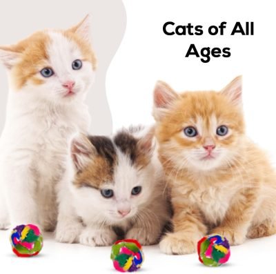 Cat Crinkle Balls 1.5 Inch (50-Pack) - Mini Crinkle Cat Toys for Indoor Cats - Multi-Color Cat Crinkle Toy - Canadian-Made Crinkle Balls for Cats