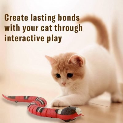 Interactive Cat Toys - Cat Laser & Fake Snake - Smart Sensing, Rechargeable Slithering Serpent - Laser Light Pointer - Cat Toy Set for Pets, Kittens, Dogs