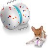 Interactive Dog Toys for Boredom, Bouncing Ball for Dogs with Motion Activated, Active Rolling Ball for Dogs, Wicked Ball for Daily Training