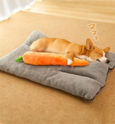 Carrot Style Squeaky Large Plush Dog Toys - Small Breed Puppy Chew Toys - Chewing Toys for Dogs - Large&Small Dog Plush Toys