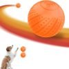 Interactive Dog Toy Ball 2.3'' 2 Interactive Modes Soft Enhanced Rubber Bite Resistant Durable Motion Activated Automatic Rolling Ball Toys with LED
