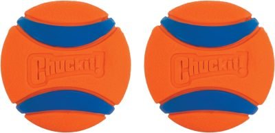 Ultra Ball Dog Toy, Medium (2.5" Diameter), Pack of 8 with Chuckit Cleaning Bucket