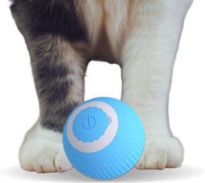 Smart Cat Toy, Gravity Smart Roller Ball, Interactive Cat Toys for Indoor,Automatic Pet Exercise Toys, Cats Stuff Automatic Cat Toy as Xmas Cat Gift Box