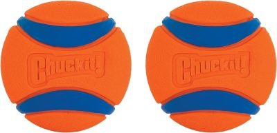 Ball Dog Toy, Medium (2.5 Inch Diameter) Pack of 2, for breeds 20-60 lbs
