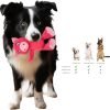 5 Pack Squeaky Plush Toys Assortment Value Bundle Puppy Pet Mutt Squeak Toy for Medium Large Dogs Made Tough for Aggressive Chewers