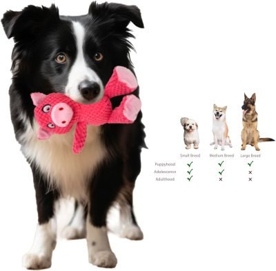 5 Pack Squeaky Plush Toys Assortment Value Bundle Puppy Pet Mutt Squeak Toy for Medium Large Dogs Made Tough for Aggressive Chewers