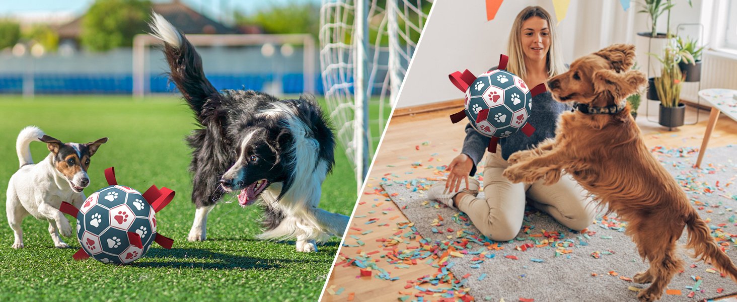 dog soccer ball