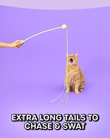 the wiggle wand cat toy extra long tails to chase and swat