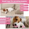 20 Pcs Puppy Toys for Teething Chew Toys for Small Dogs Cute Pink Soft Squeaky Puppy Teething Toys Rubber Outdoor Interactive Dog Toys for Puppies Small Breed Cleaning Doggy Teeth