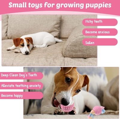 20 Pcs Puppy Toys for Teething Chew Toys for Small Dogs Cute Pink Soft Squeaky Puppy Teething Toys Rubber Outdoor Interactive Dog Toys for Puppies Small Breed Cleaning Doggy Teeth