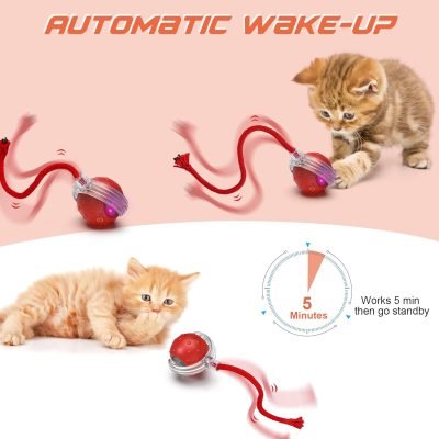 Interactive Cat Toys Ball, Motion Activate Electric Cat Toy, Automatic Pet Exercise Toys, Simulate Bird Calls, USB Rechargeable (Long Tail)