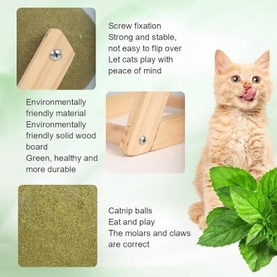 713DW0mJ9xL._AC_SL1500 Cat Mint Ball Toy, Catnip Floor Ball Toy, Interactive Catnip Toy, Rotatable Catnip Roller Ball Floor Mount, Catnip Floor Toys with Enjoyable and Safe, Floor Catnip Roller for Cat Playing (Small)