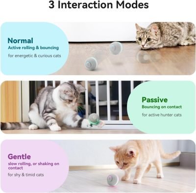 Cheerble Smart Interactive Cat Toy, Automatic Moving Bouncing Rolling Ball for Indoor Cat Kitten, Peppy Pet Ball with Lights and Bell, Grey
