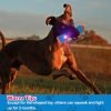 4 Pcs Dog Pool Floating Toys - Squeaky & Glowing Dog Water Toys, Safe Durable TPR Interactive Dog Toys for Aggressive Chewers Large Dogs Fetching Playing