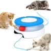Cat Toy, Interactive Cat Toys for Indoor Cats, Automatic Cat String Toy for Cat Exercise, Fit for Most Cats (Blue)