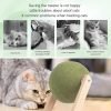 71GPmna_G6L._AC_SL1500 Cat Mint Ball Toy, Catnip Floor Ball Toy, Interactive Catnip Toy, Rotatable Catnip Roller Ball Floor Mount, Catnip Floor Toys with Enjoyable and Safe, Floor Catnip Roller for Cat Playing (Small)