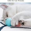Smart Cat Toy, Gravity Smart Roller Ball, Interactive Cat Toys for Indoor,Automatic Pet Exercise Toys, Cats Stuff Automatic Cat Toy as Xmas Cat Gift Box