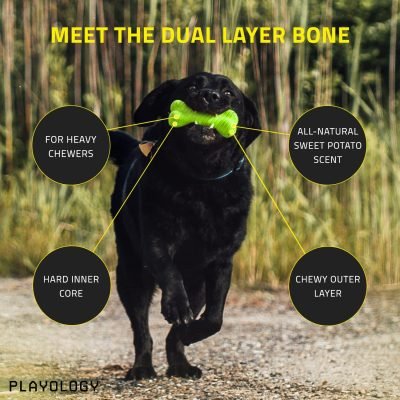 Layer Bone Toy for Large Dogs (35lbs & up) - Engaging All-Natural Sweet Potato Scented Durable Dog Chew Toy for Heavy Chewers - Easy to Clean - Interactive & Non-Toxic