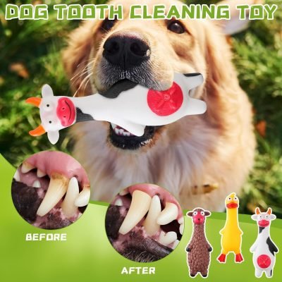 20 Pcs Squeak Latex Puppy Toy Squeaky Dog Toys Rubber Small Squeaky Balls Rubber Toys Funny Animal for Small Medium Large Pets Interactive Play Fetch Reduce Separation Anxiety (Novel)