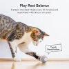 Cheerble Smart Interactive Cat Toy, Automatic Moving Bouncing Rolling Ball for Indoor Cat Kitten, Peppy Pet Ball with Lights and Bell, Grey