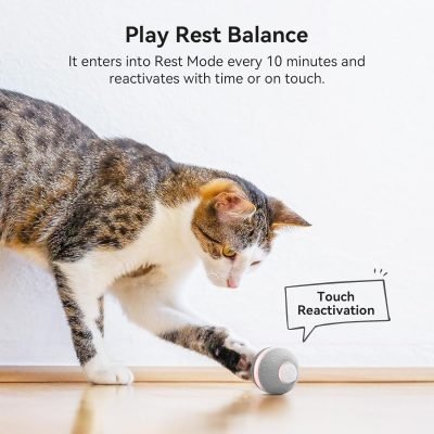 Cheerble Smart Interactive Cat Toy, Automatic Moving Bouncing Rolling Ball for Indoor Cat Kitten, Peppy Pet Ball with Lights and Bell, Grey
